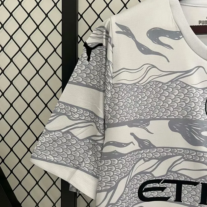 Manchester City Special Edition — Detail